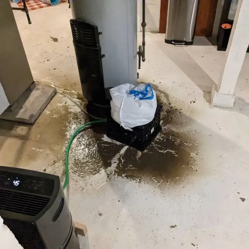 Sewage Backup Cleanup Service in Chicot County, AR